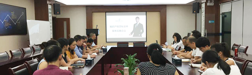 雷諾表召開知識產(chǎn)權(quán)貫標(biāo)文件發(fā)布實施會議